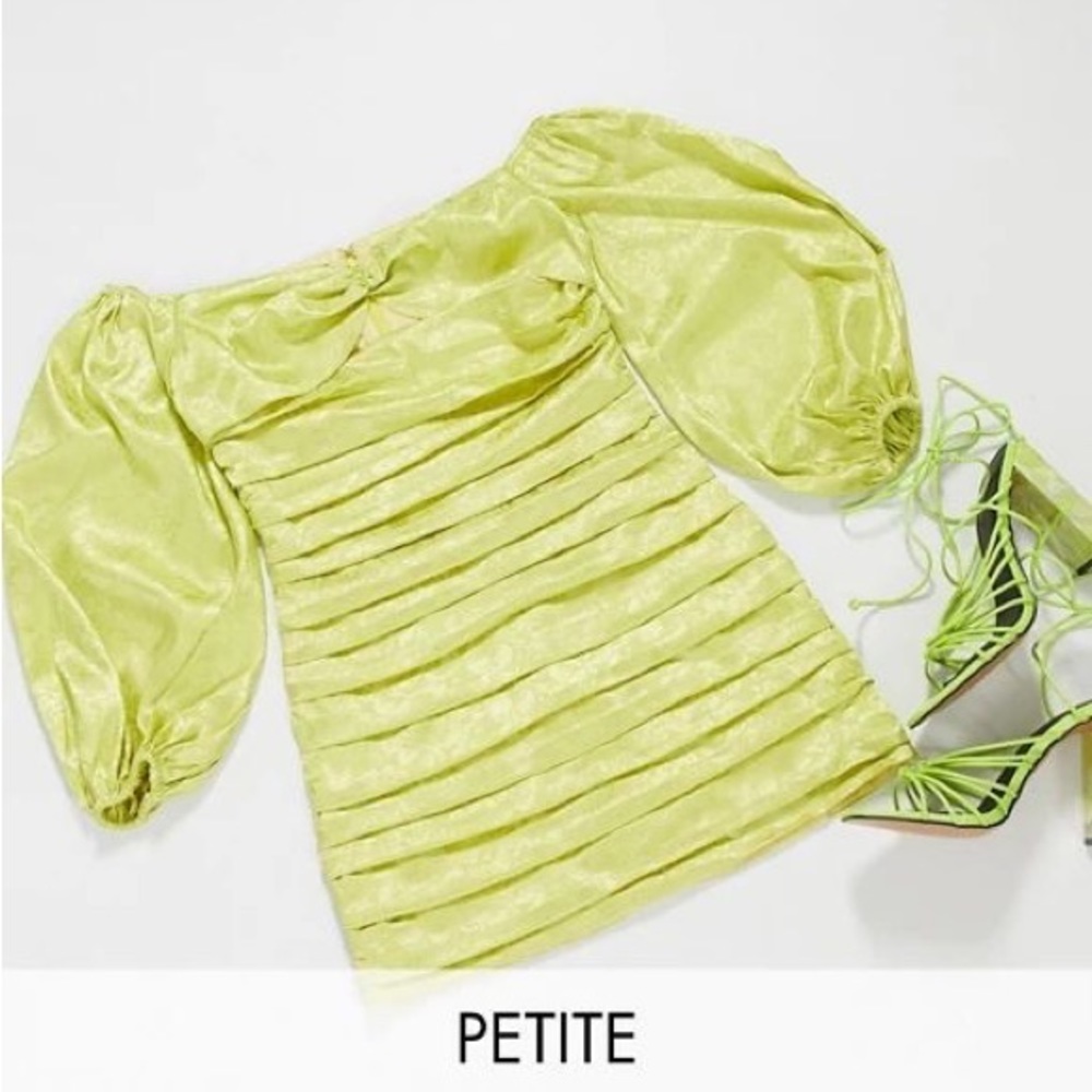 Collective The Label Ruched Bardot Mini Dress (petite)